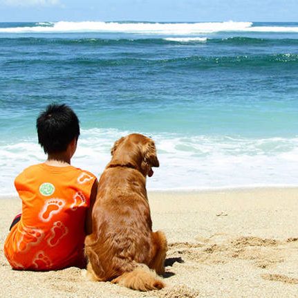 cane in spiaggia