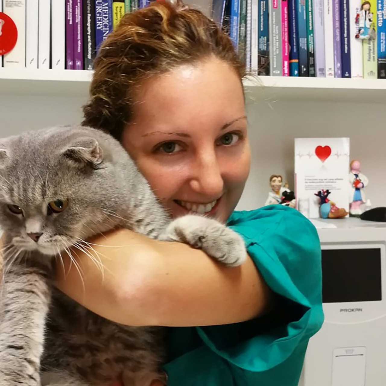 Gatto