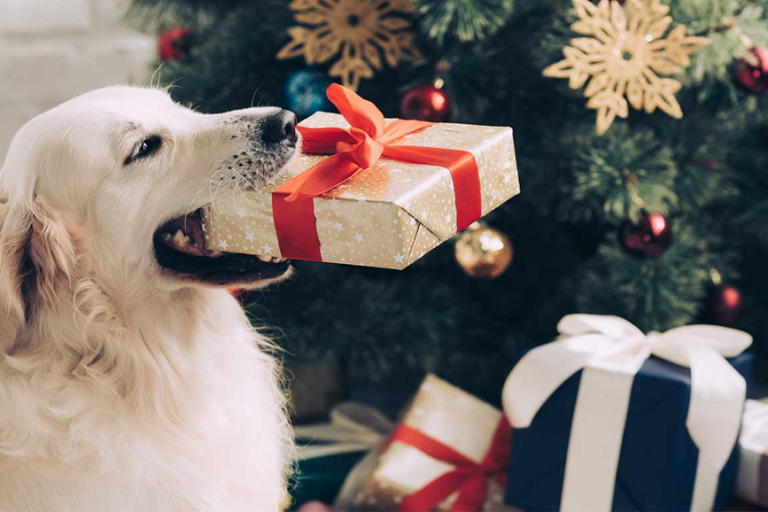 natale