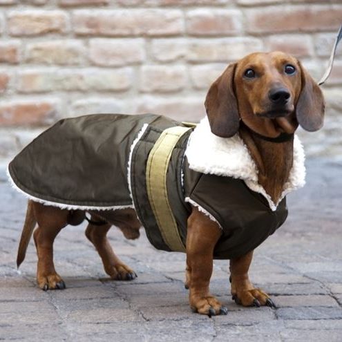 cappottini-per-cani_NG2