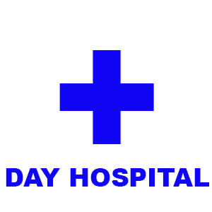 DAY-HOSPITAL_300x300