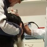 laserterapia_4